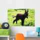 Junger Esel Wall Decal