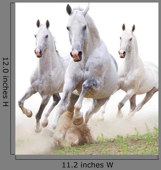 White Horses Dust Wall Decal