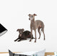 Two Italian Greyhounds Wall Decal