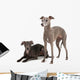 Two Italian Greyhounds Wall Decal