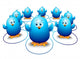 Chicks Birds Social Network Wall Decal