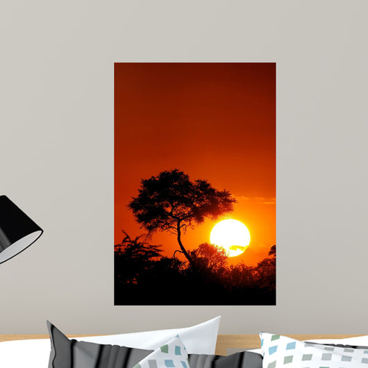 Sunset with Tree Silhouette Wall Decal