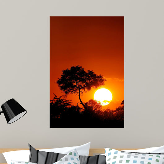 Sunset with Tree Silhouette Wall Decal