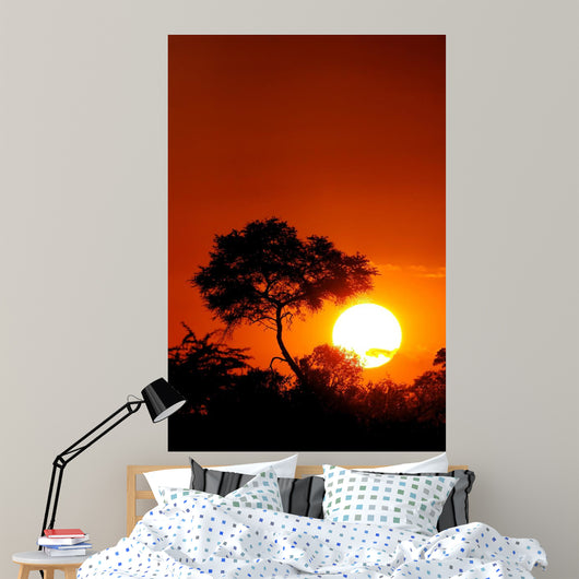 Sunset with Tree Silhouette Wall Decal