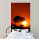 Sunset with Tree Silhouette Wall Decal