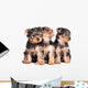 Cute Little Yorkshire Terrier Wall Decal