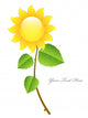 Beautiful Glossy Vector Sunflower Wall Decal