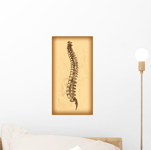 Human Spine Vector Wall Decal