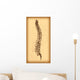 Human Spine Vector Wall Decal