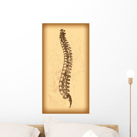 Human Spine Vector Wall Decal