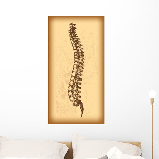 Human Spine Vector Wall Decal