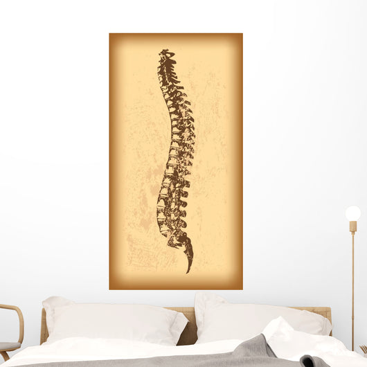 Human Spine Vector Wall Decal