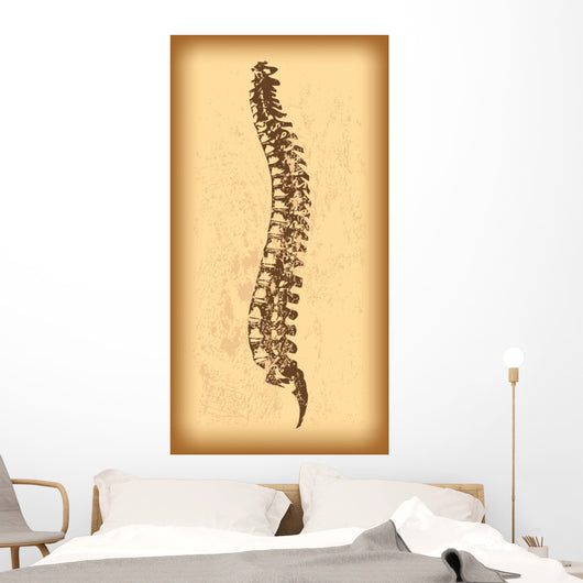 Human Spine Vector Wall Decal