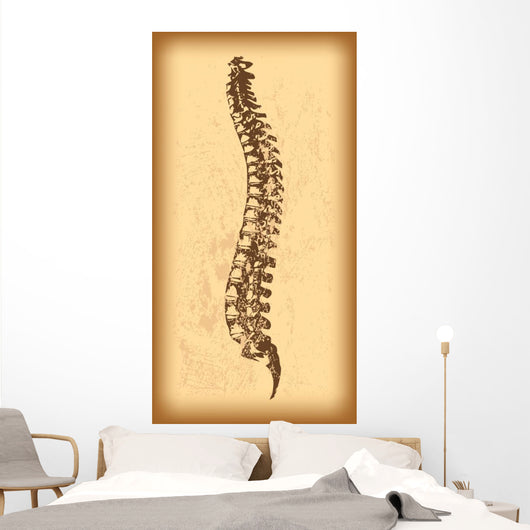 Human Spine Vector Wall Decal