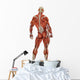 Muscle Man Back Side Wall Decal