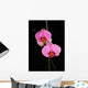 Two Pink Orchids Wall Decal