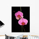 Two Pink Orchids Wall Decal