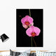 Two Pink Orchids Wall Decal