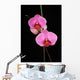 Two Pink Orchids Wall Decal