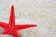 Starfish Wall Decal