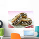 Ice Cream Sandwiches Wall Decal