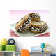 Ice Cream Sandwiches Wall Decal