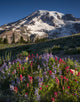 Mt Rainier and Wildflowers Wall Decal