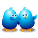 Blue Birds Talking Wall Decal