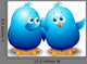 Blue Birds Talking Wall Decal