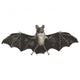 Bat Sketch Illustration Wall Decal