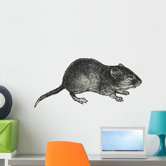 Vole Wall Decal