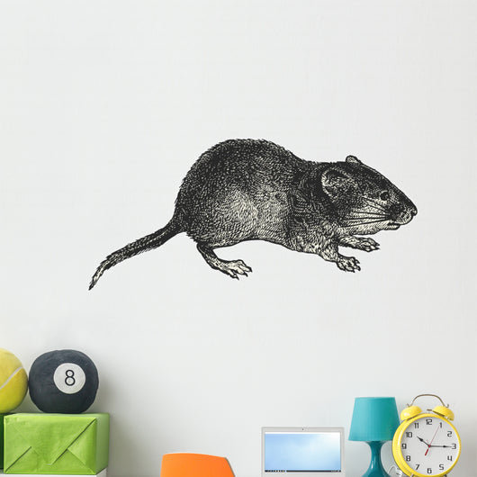 Vole Wall Decal