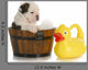 Puppy Bath Time Wall Decal