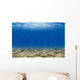 Fond Marin Wall Decal