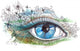 Summer Human Eye Wall Decal