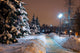 Spruce Trees Winter Park Wall Decal