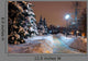 Spruce Trees Winter Park Wall Decal