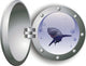 Shark in a Porthole Illustration Wall Decal