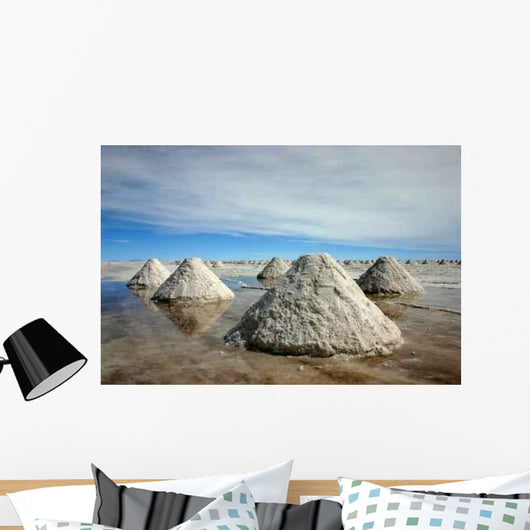 Salar de Uyuni Cones Close-up Wall Decal