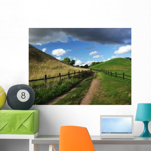 Dirt Country Path Wall Decal