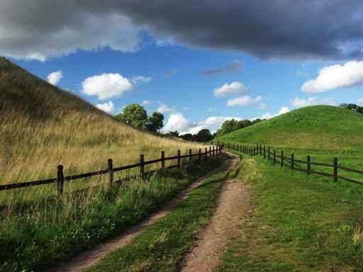 Dirt Country Path Wall Decal