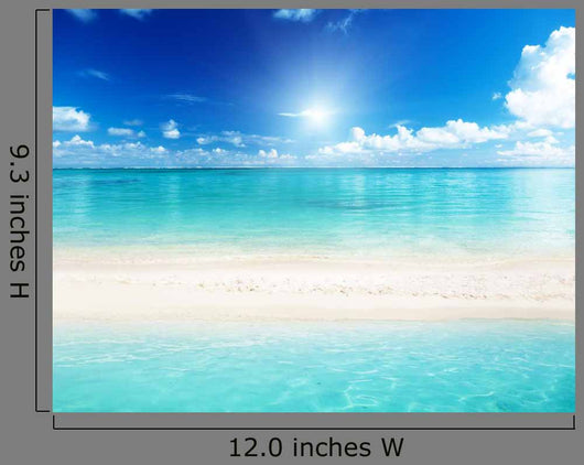 Sea and Sand Wall Decal