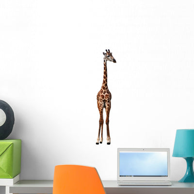 Long Neck Giraffe White Wall Decal shown on a wall