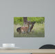 Fallow Deer Wall Decal