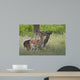 Fallow Deer Wall Decal