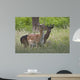 Fallow Deer Wall Decal