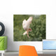 Barn Owl Wall Decal