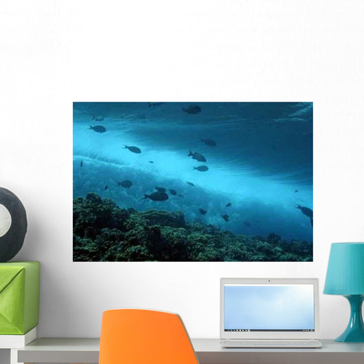 Reef under Waves Wall Decal