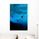 Fish Shadows under Waves Wall Decal