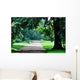 Path Through a Green Forest Wall Decal